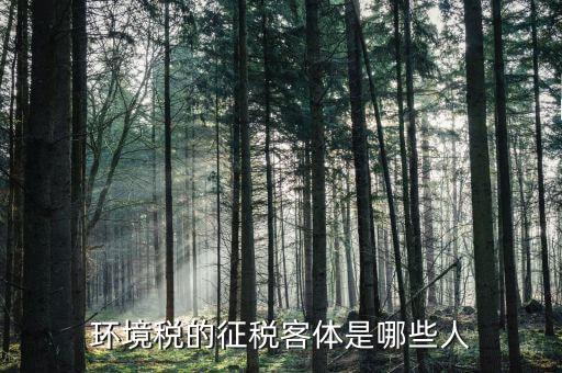 環保稅納稅人的什么意思，環境稅是什么意思