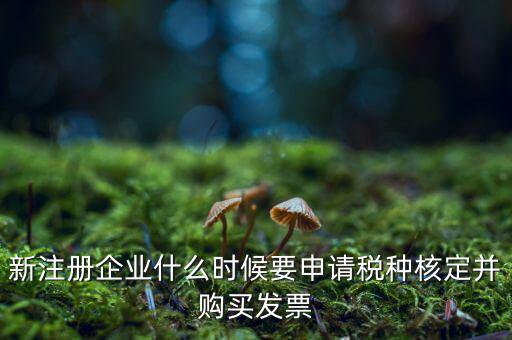 新注冊企業什么時候要申請稅種核定并購買發票