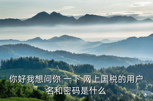 你好我想問你 一下 網上國稅的用戶名和密碼是什么