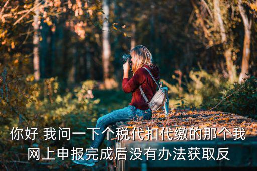 你好 我問一下個稅代扣代繳的那個我網上申報完成后沒有辦法獲取反