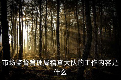 市場監督管理局稽查大隊的工作內容是什么
