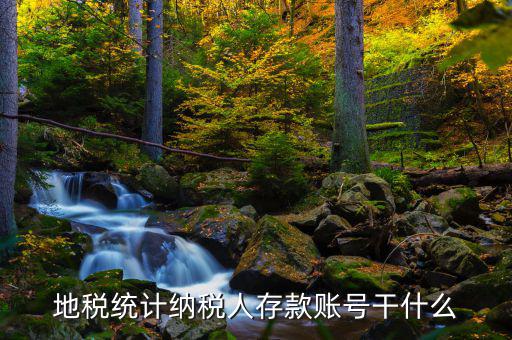 地稅統計納稅人存款賬號干什么