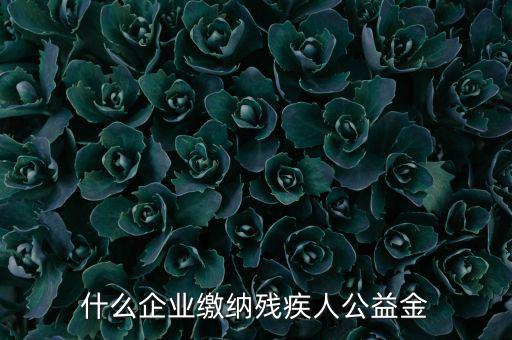 什么企業需申報殘疾人保障金，哪些單位應該繳納殘疾人保障基金