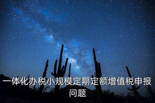一體化辦稅小規模定期定額增值稅申報問題