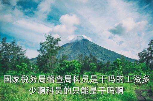 稅務局督查內審科是干什么工作的，做賬專門給稅務局檢查的職業是什么