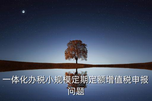 非定期定額戶申報是什么意思，一體化辦稅小規模定期定額增值稅申報問題