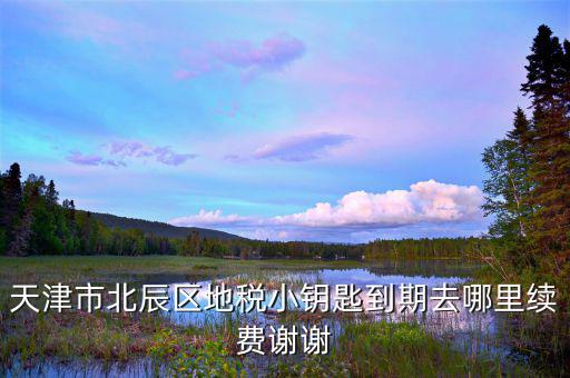 天津地稅小鑰匙密碼是什么，天津市北辰區地稅小鑰匙到期去哪里續費謝謝