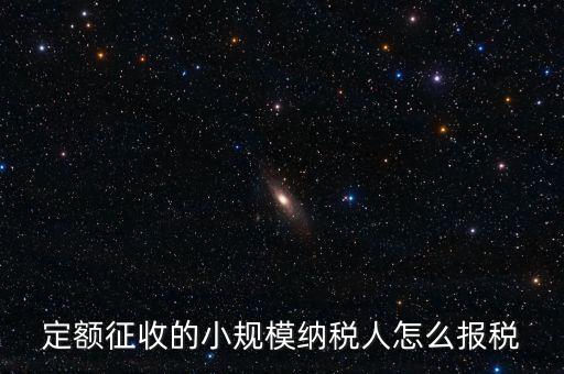 定額征收的小規模納稅人怎么報稅