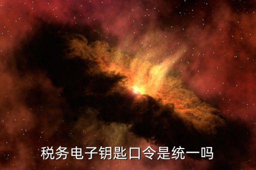 稅務電子鑰匙口令是統一嗎