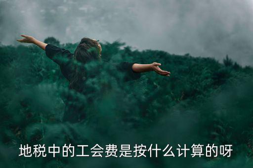 地稅代征的工會經費按什么計算，地稅中的工會費是按什么計算的呀