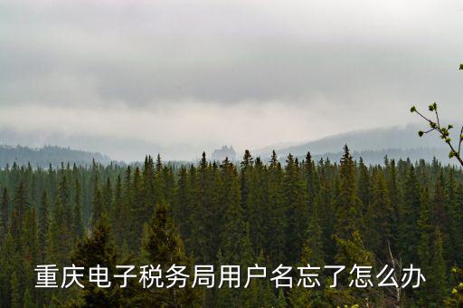 重慶電子稅務局的網址是什么意思，重慶市國稅電子申報委托繳稅的網址