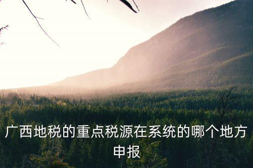 廣西地稅的重點稅源在系統的哪個地方申報