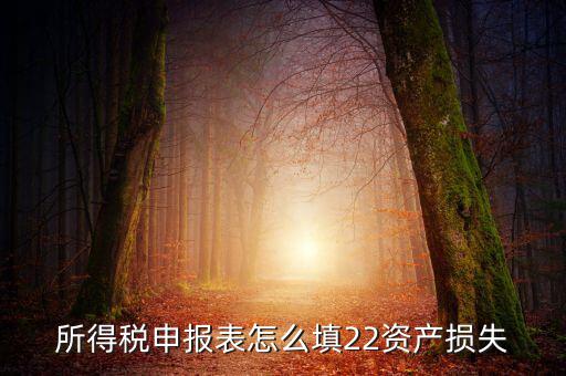 所得稅申報表怎么填22資產損失
