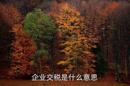 企業交稅是什么意思