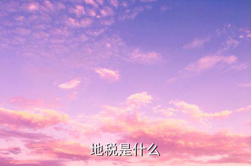地稅調(diào)研文章些什么意思，通過(guò)對(duì)某地方國(guó)稅地稅辦稅業(yè)務(wù)的調(diào)研談?wù)劕F(xiàn)階段地方國(guó)稅地稅