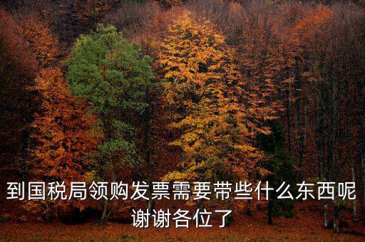 去國稅領發票需要帶什么，國稅領取發票需帶什么材料不是初次領購