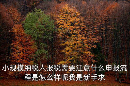 小規模納稅人報稅需要注意什么申報流程是怎么樣呢我是新手求