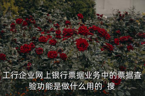 工行企業網上銀行票據業務中的票據查驗功能是做什么用的  搜