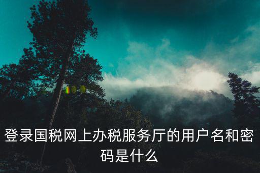 稅務查詢賬號密碼是什么意思，登錄國稅網上辦稅服務廳的用戶名和密碼是什么