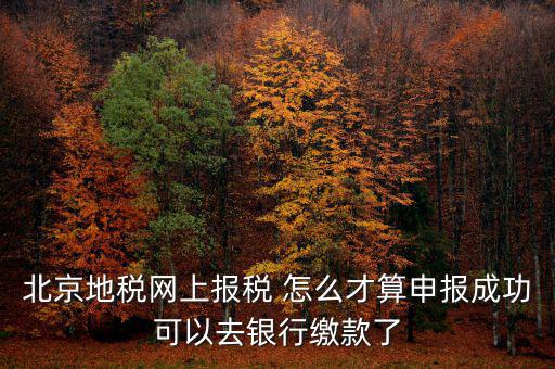 北京地稅網上報稅 怎么才算申報成功可以去銀行繳款了
