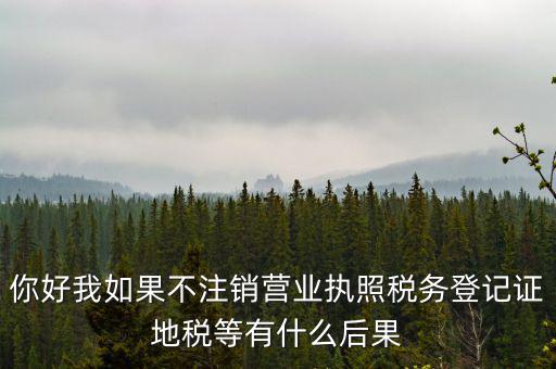 你好我如果不注銷營業執照稅務登記證地稅等有什么后果