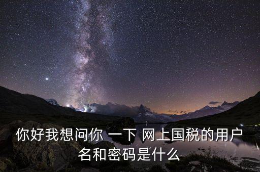 網(wǎng)上稅務辦理密碼是什么意思，國稅第一次網(wǎng)上申報的登陸密碼是什么