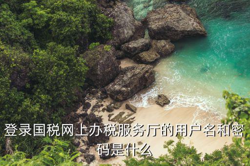 河北省地稅登陸的用戶名是什么，登錄國稅網上辦稅服務廳的用戶名和密碼是什么