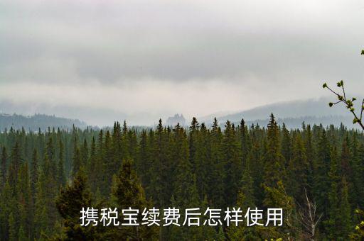 攜稅寶續費后怎樣使用