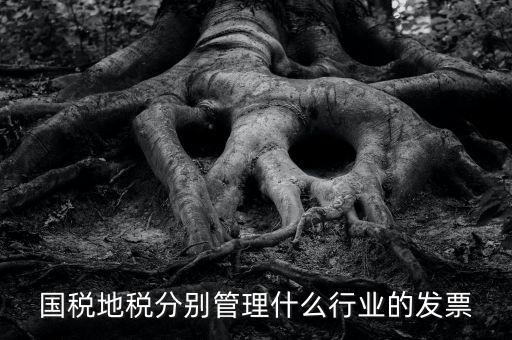 國稅地稅分別管理什么行業的發票