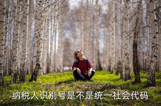 納稅人識別號 統一社會代碼是什么，納稅人識別號就是統一社會信用代碼嗎