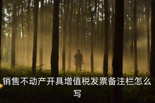 銷售不動產開具增值稅發票備注欄怎么寫