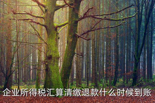 企業所得稅匯算清繳退款什么時候到賬