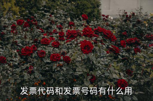 發票代碼和發票號碼有什么用