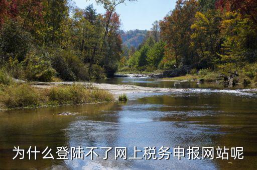 為什么登陸不了網上稅務申報網站呢