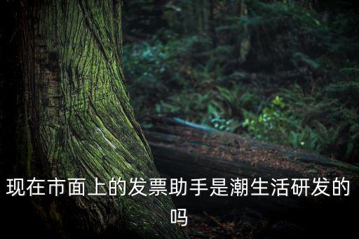 國稅發票助手是干什么的，現在市面上的發票助手是潮生活研發的嗎