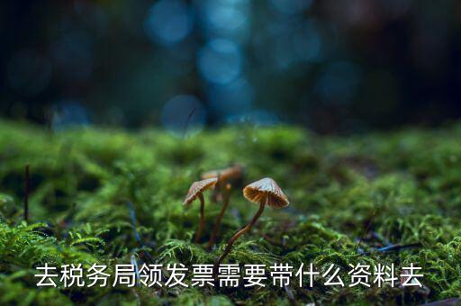 去稅務局領發票需要帶什么資料去