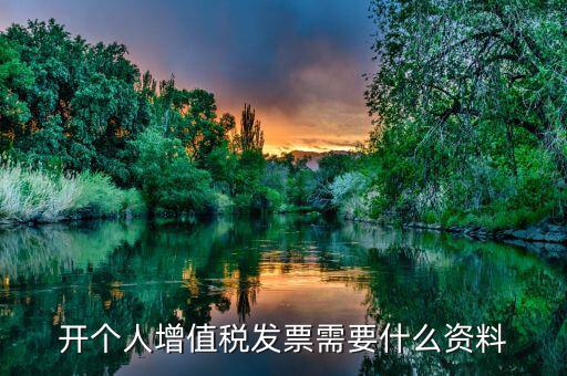 個人發票要帶什么資料，個人購物開增值稅普通發票需要什么資料