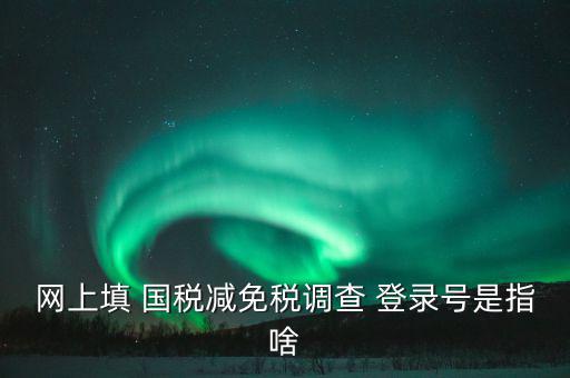 稅收調(diào)查網(wǎng)上是什么，網(wǎng)上填 國稅減免稅調(diào)查 登錄號是指啥