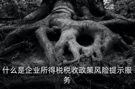 什么是企業(yè)所得稅稅收政策風(fēng)險提示服務(wù)