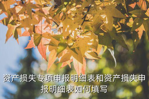 什么是專項資產損失申報表，所得稅申報表怎么填22資產損失