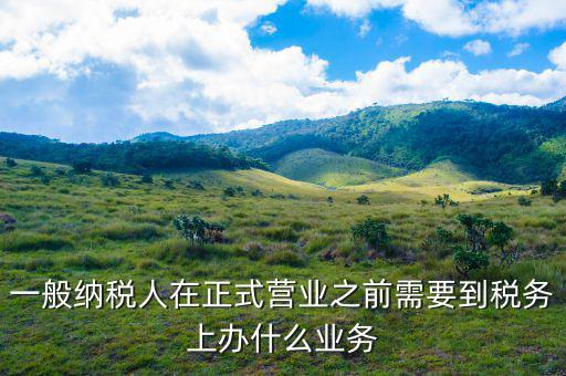 一般納稅人在正式營業之前需要到稅務上辦什么業務