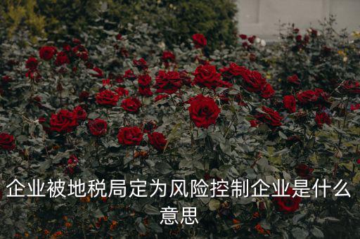 稅收風險控制是什么，稅務風險管理的稅務風險管理制度
