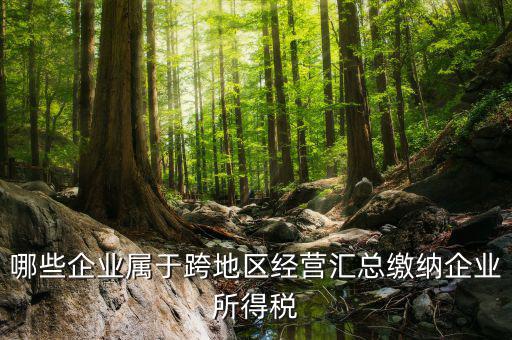 跨地區(qū)經(jīng)營匯總納稅指的是什么，哪些企業(yè)屬于跨地區(qū)經(jīng)營匯總繳納企業(yè)所得稅