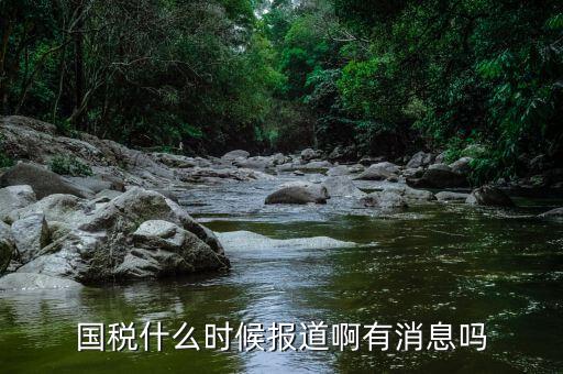 國稅同崗同籌什么時候實現，請問國稅什么時候才能實現陽光工資