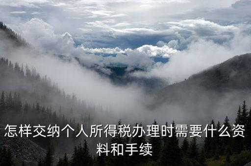 怎樣交納個人所得稅辦理時需要什么資料和手續