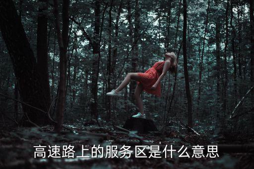 高速路上的服務區是什么意思
