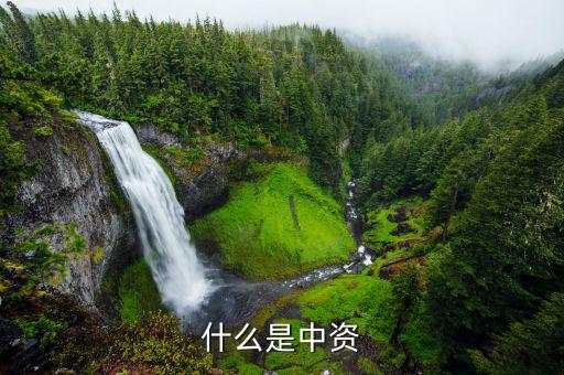 什么是境外中資控股居民，境外注冊中資控股居民企業和非境內注冊居民企業區別