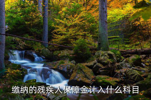 殘疾人就業保障金稅目是什么，殘疾人就業保障金應計什么會計科目