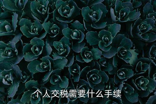個人交稅需要什么手續
