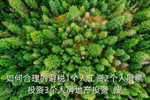 如何合理的避稅1個人工資2個人股票投資3個人房地產投資  搜